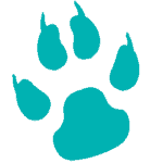 paws-n-claws-favicon-teal